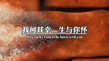 尘埃赛车